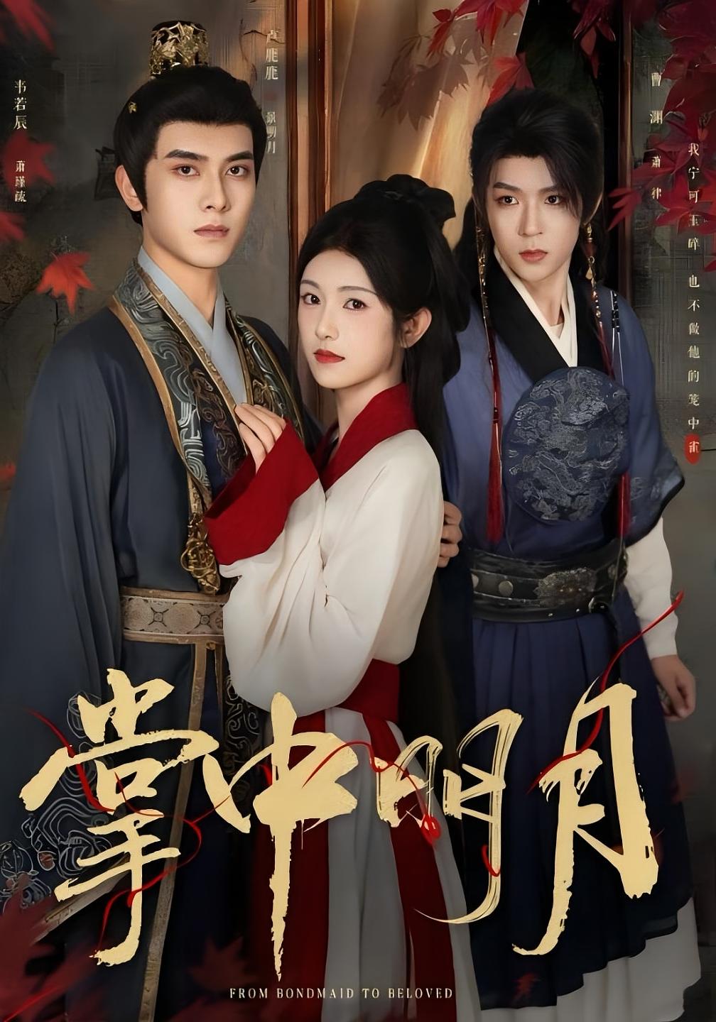 掌中明月 宫斗宅斗·逆袭·全60集 卢鹿鹿&韦若辰&曼如