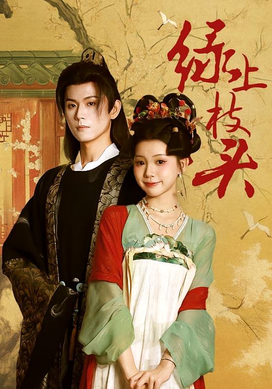 绿上枝头 宫斗宅斗·重生·全73集 李丫丫&何善凯&李星玥