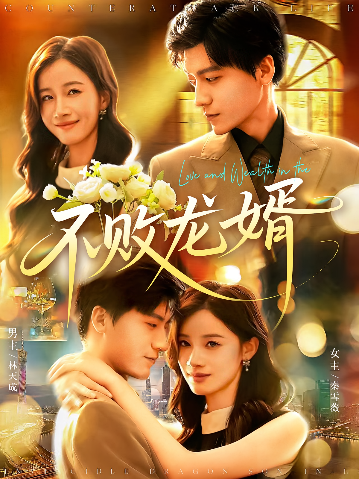 不败龙婿 赘婿逆袭·马甲·全97集 杨冬&付翠茹&李志豪