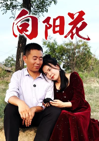 向阳花封面图