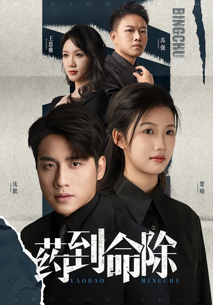 药到命除 都市日常·都市·全72集 张宇翔&许幻幻&黄则灵