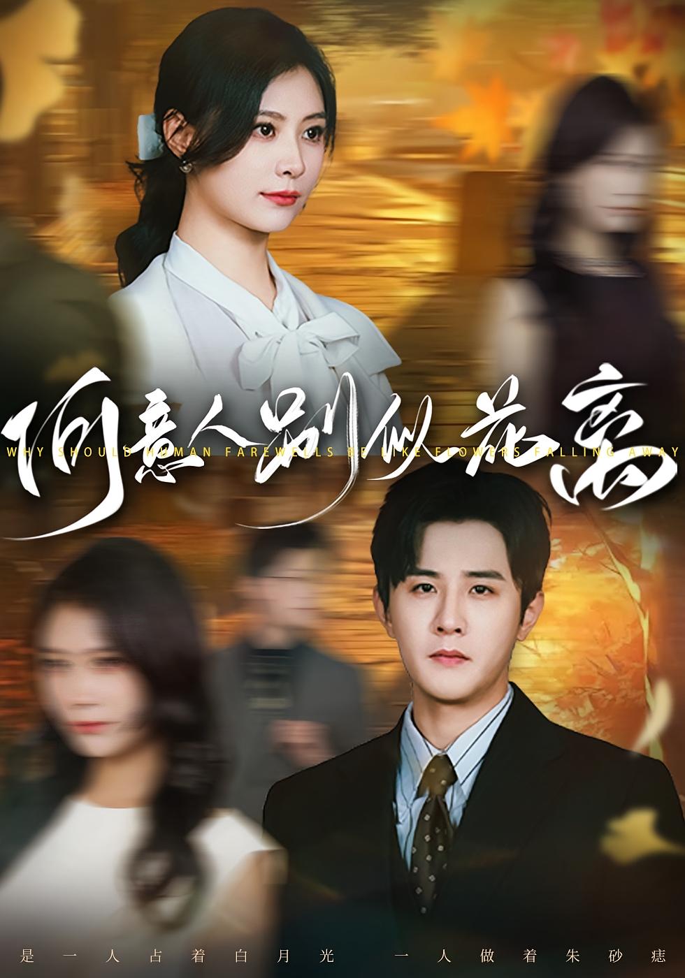 何意人别似花离 都市情感·都市·全61集 杨谨羽&伍中元