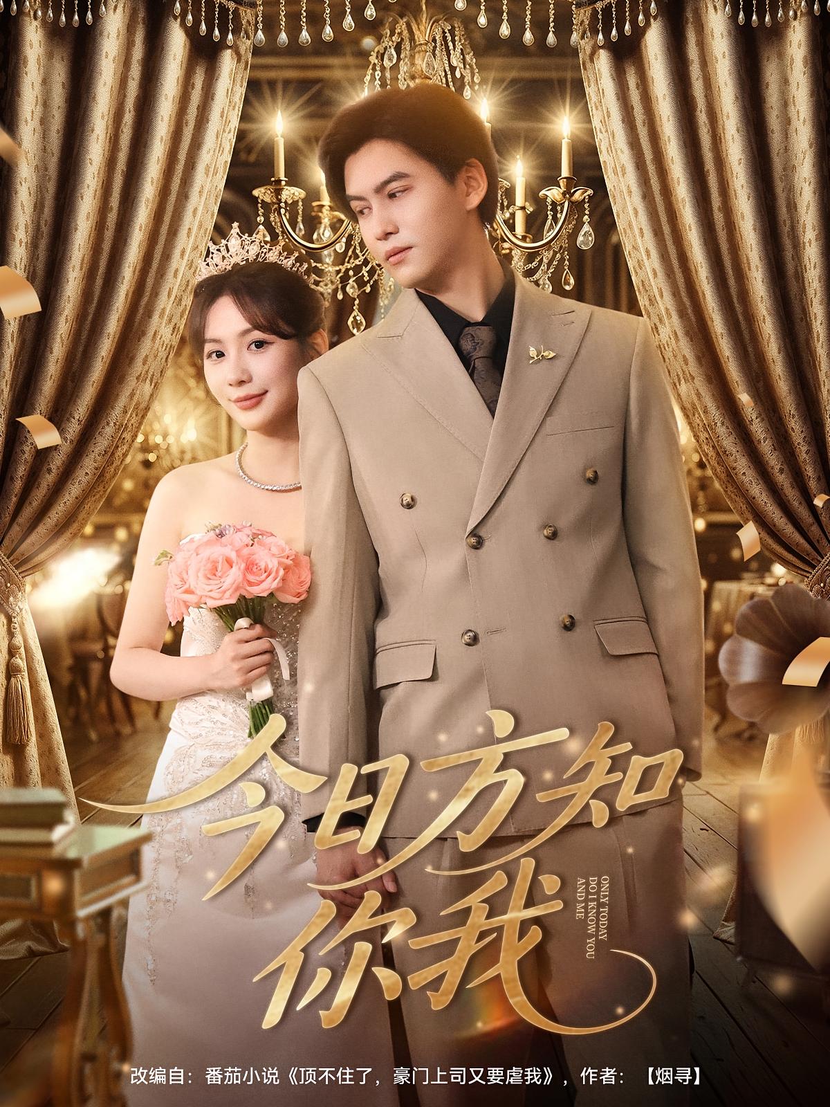 今日方知你我 都市情感·总裁·全100集 王祉溢&张文晋&沈澜