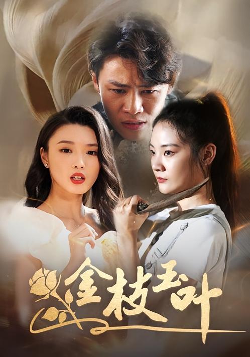 金枝玉叶 家庭伦理·都市·全30集 秦扬懿&夏梦