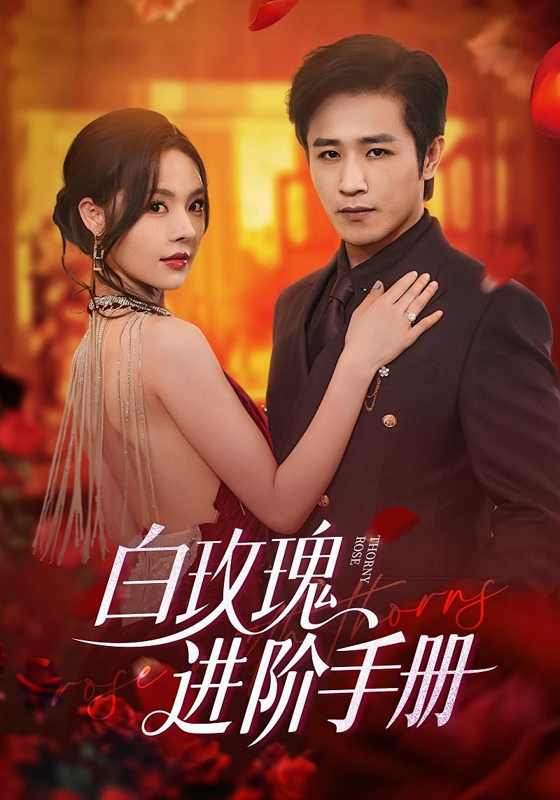 白玫瑰进阶手册 都市情感·都市·全64集 苏西&曹庆英