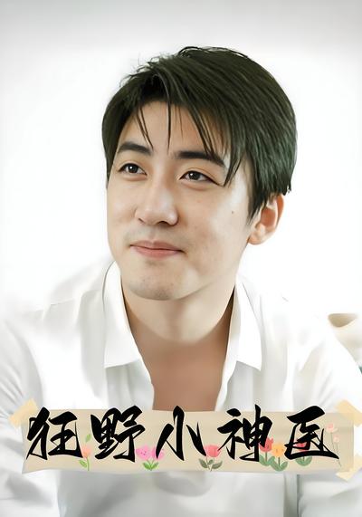 狂野小神医封面图