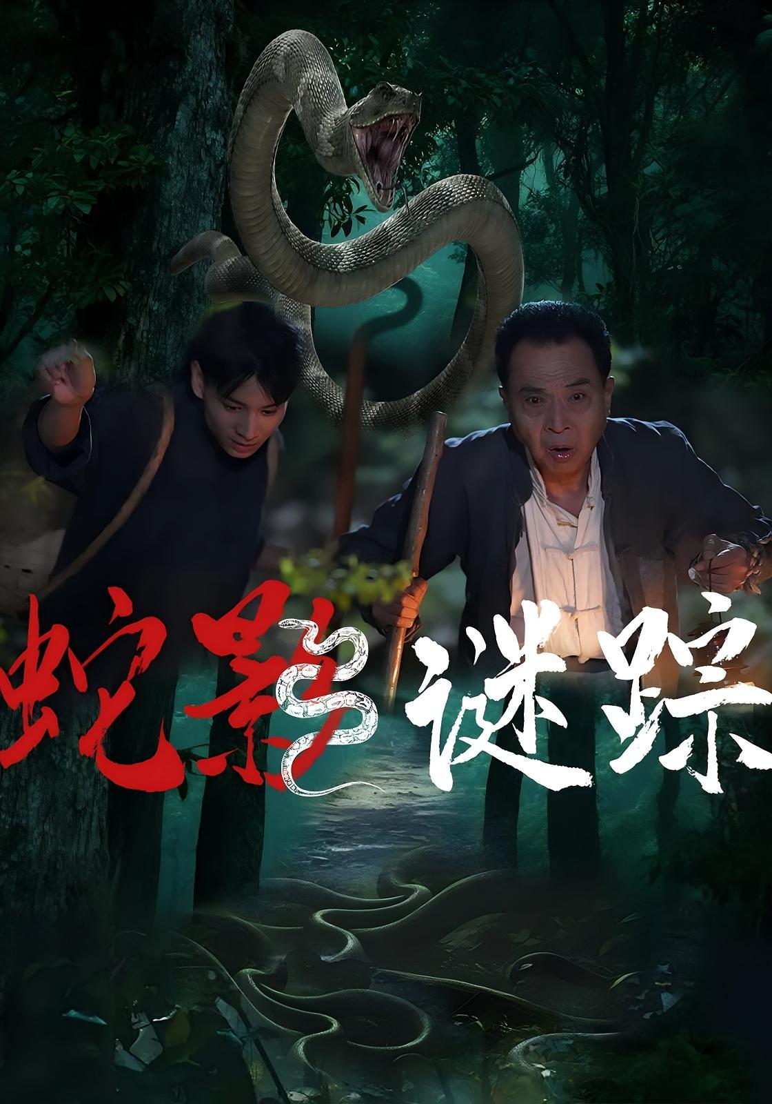 蛇影谜踪 悬疑推理·反转·全53集 郭超&范高坡&吴广林