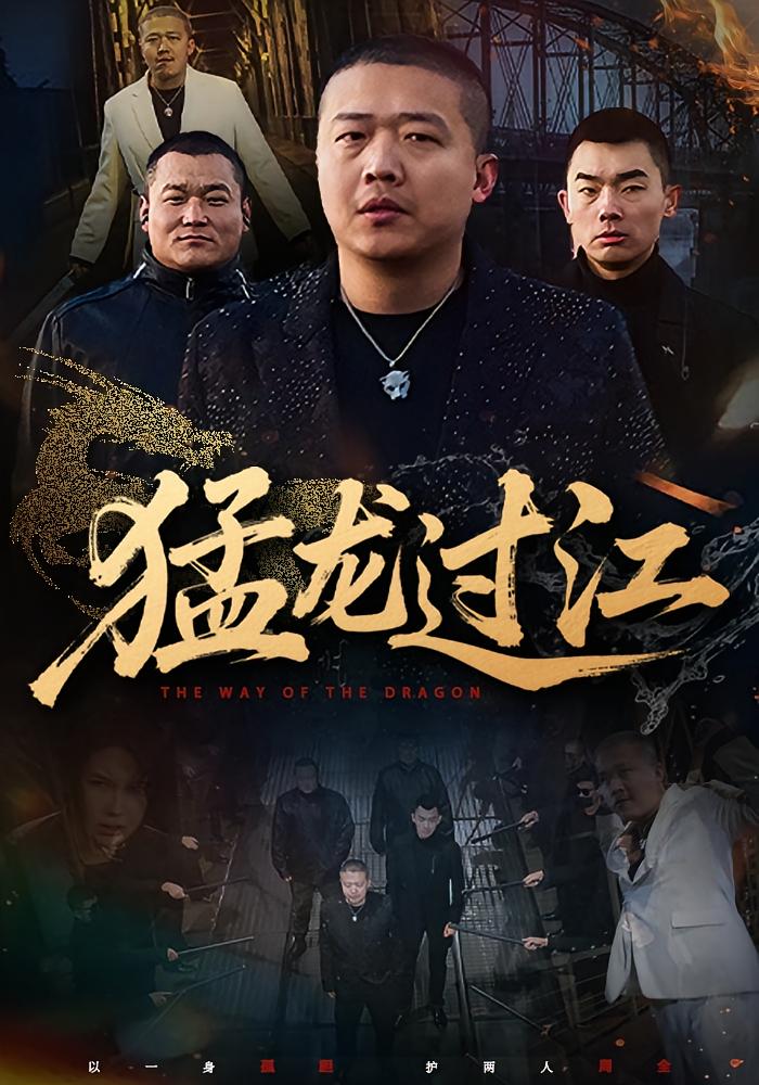猛龙过江封面图