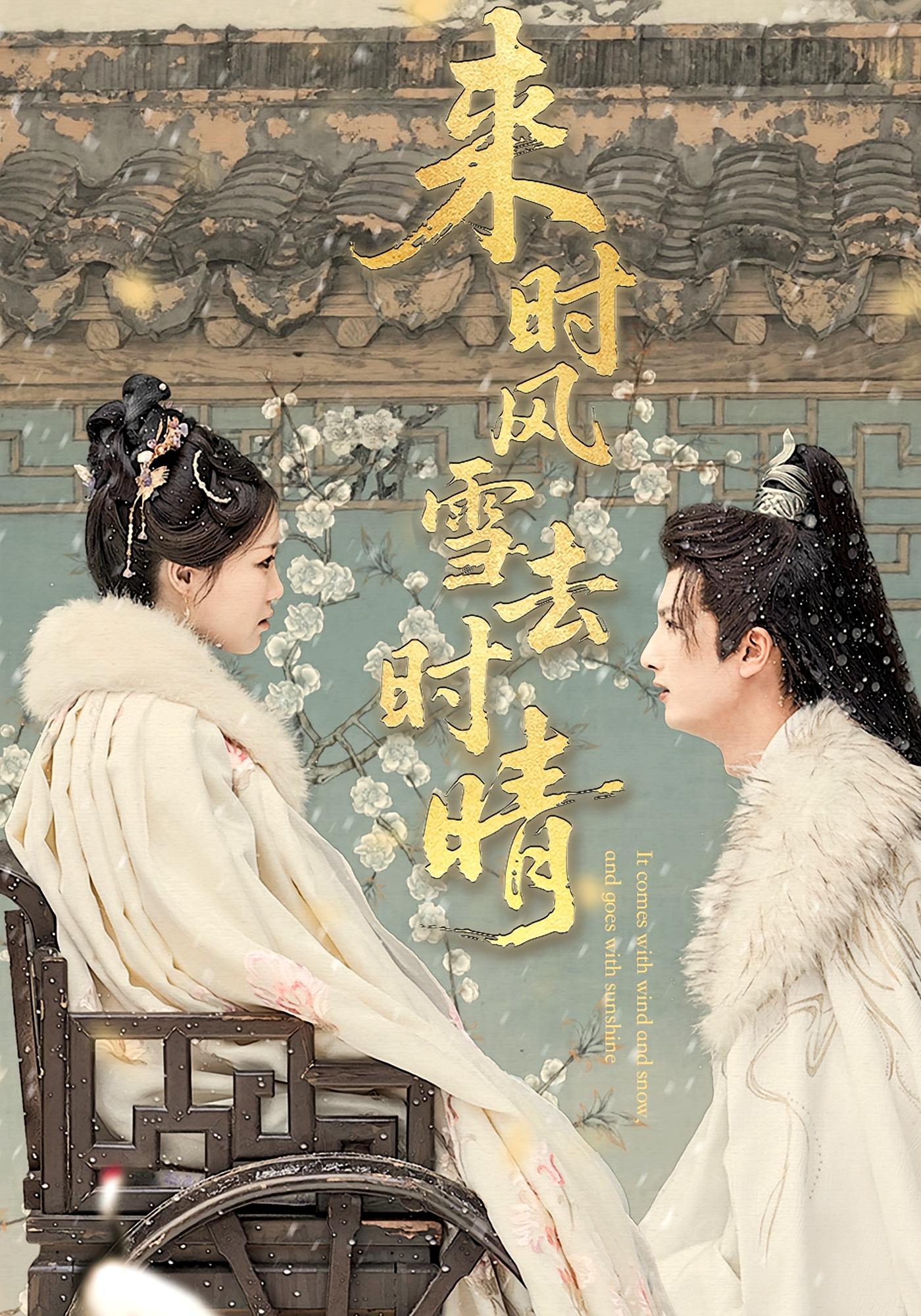 来时风雪去时晴 宫斗宅斗·打脸虐渣·全51集 戴凤仪&刘俊达&颜颜妮酱