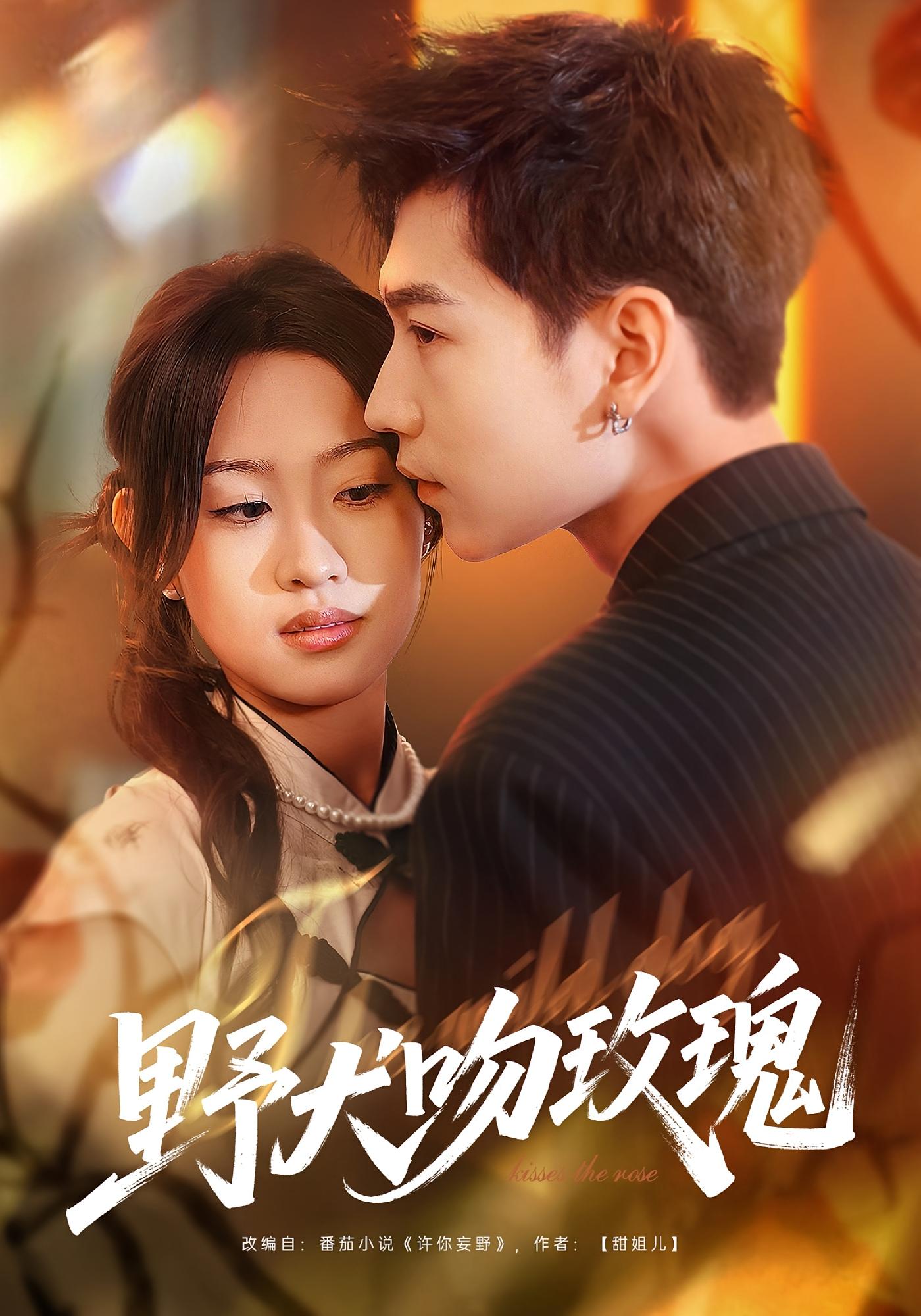 野犬吻玫瑰 都市情感·马甲·全70集 王继冉&孙园静