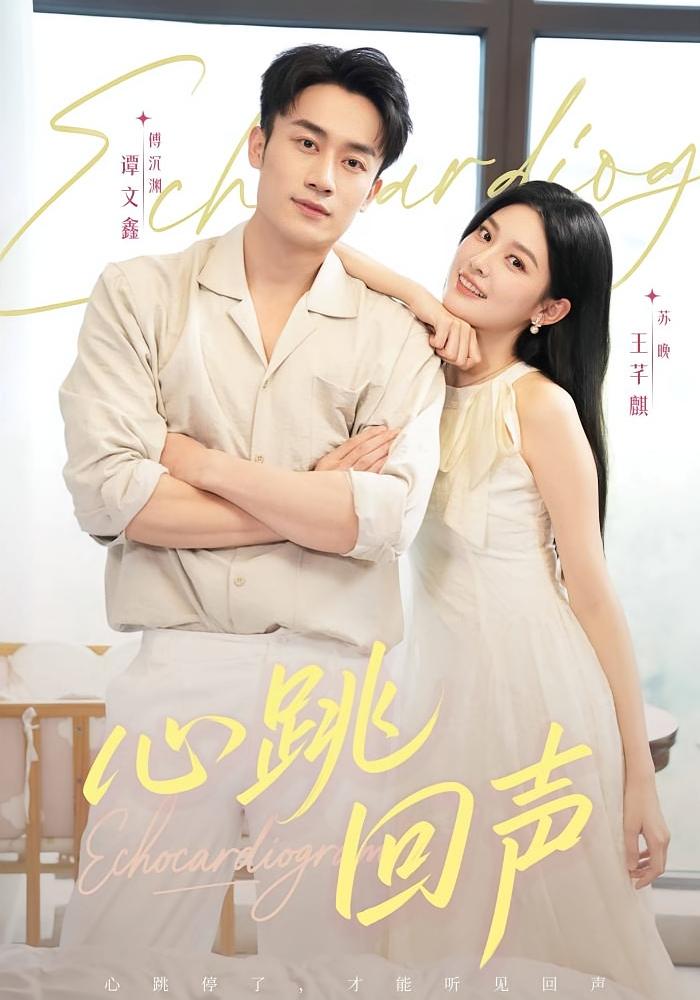 心跳回声 女性成长·都市·全30集 王芊麒&武威&邓青洲