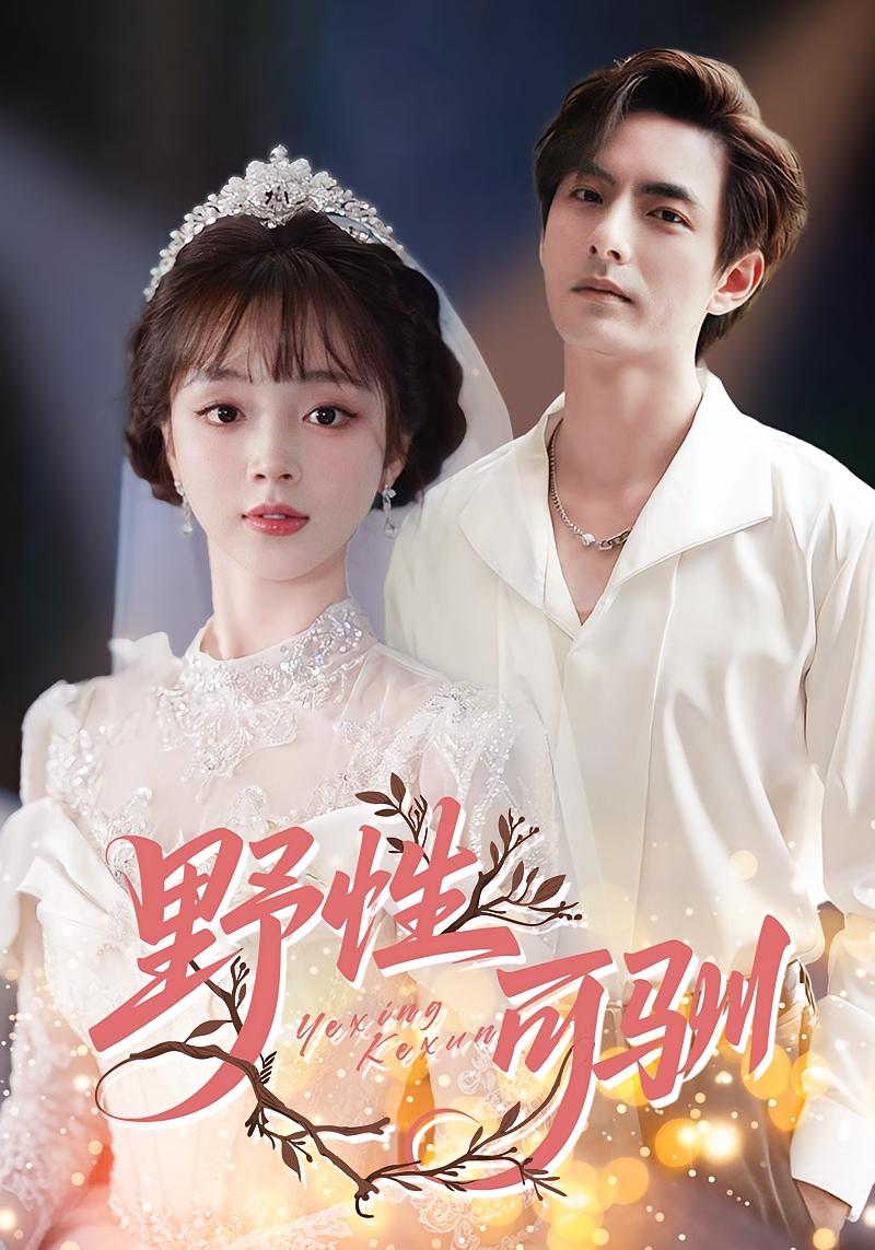 野性可驯 都市情感·都市·全63集 李豪&蔡淼燕&朱宸钧