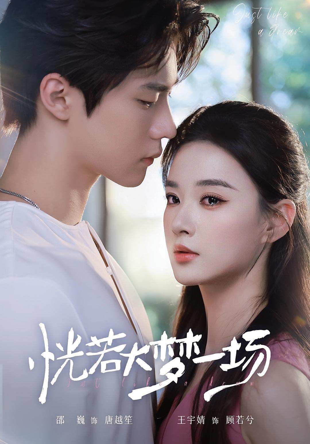 恍若大梦一场 都市情感·重生·全53集 王宇婧&邵巍&袁艺