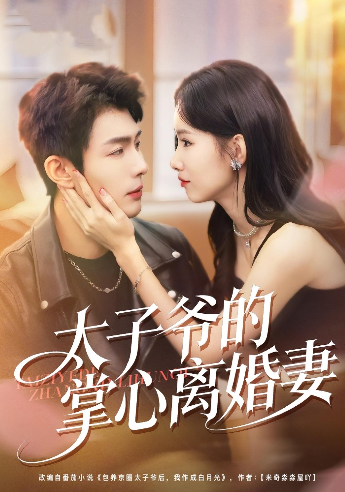 太子爷的掌心离婚妻 都市情感·马甲·全76集 杨云绚&张培君&薛海威