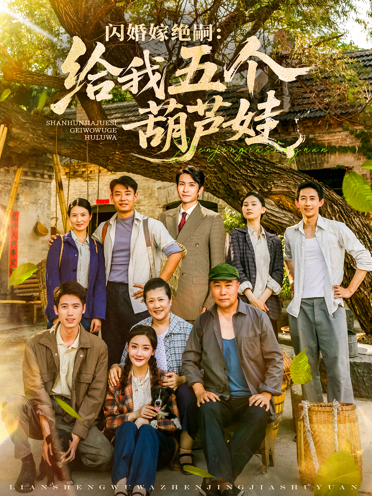 闪婚嫁绝嗣：给我五个葫芦娃 奇幻爱情·穿越·全81集 王已歌&孟璐&王文凯