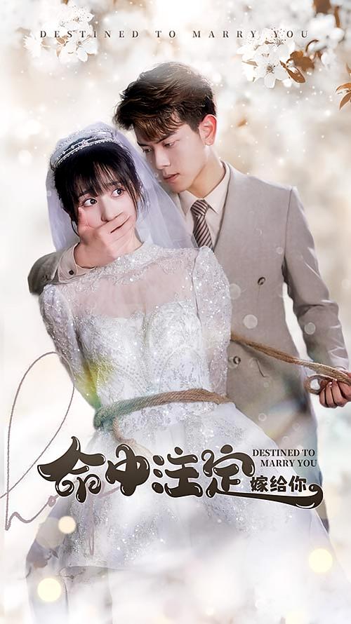 命中注定嫁给你 都市情感·马甲·全97集 贾博雅&贾博雅&李骁飞