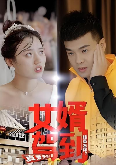 女婿驾到封面图