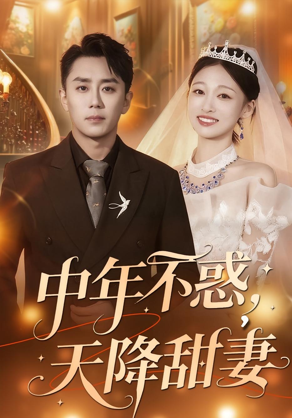 中年不惑，天降甜妻 都市情感·都市·全60集 卓颐&阎纪圻&辛一