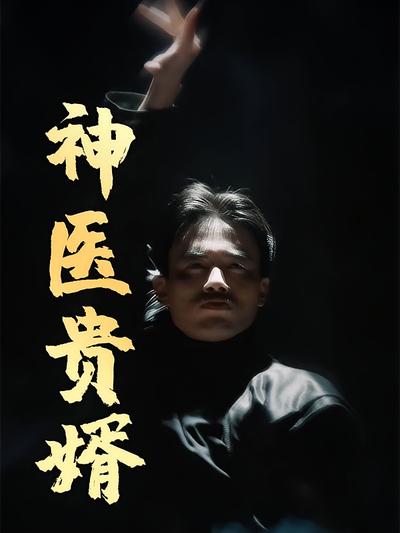 神医贵婿