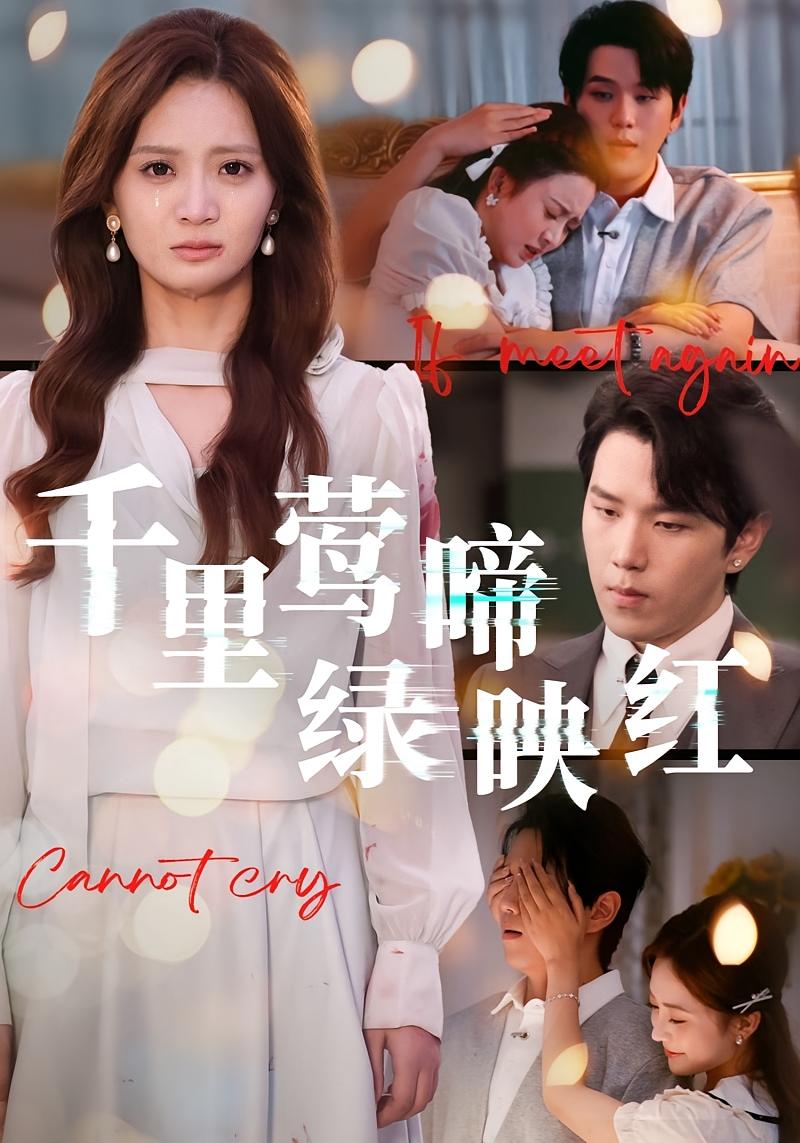 千里莺啼绿映红 都市情感·都市·全63集 张媛媛&刘美娜&罗景森