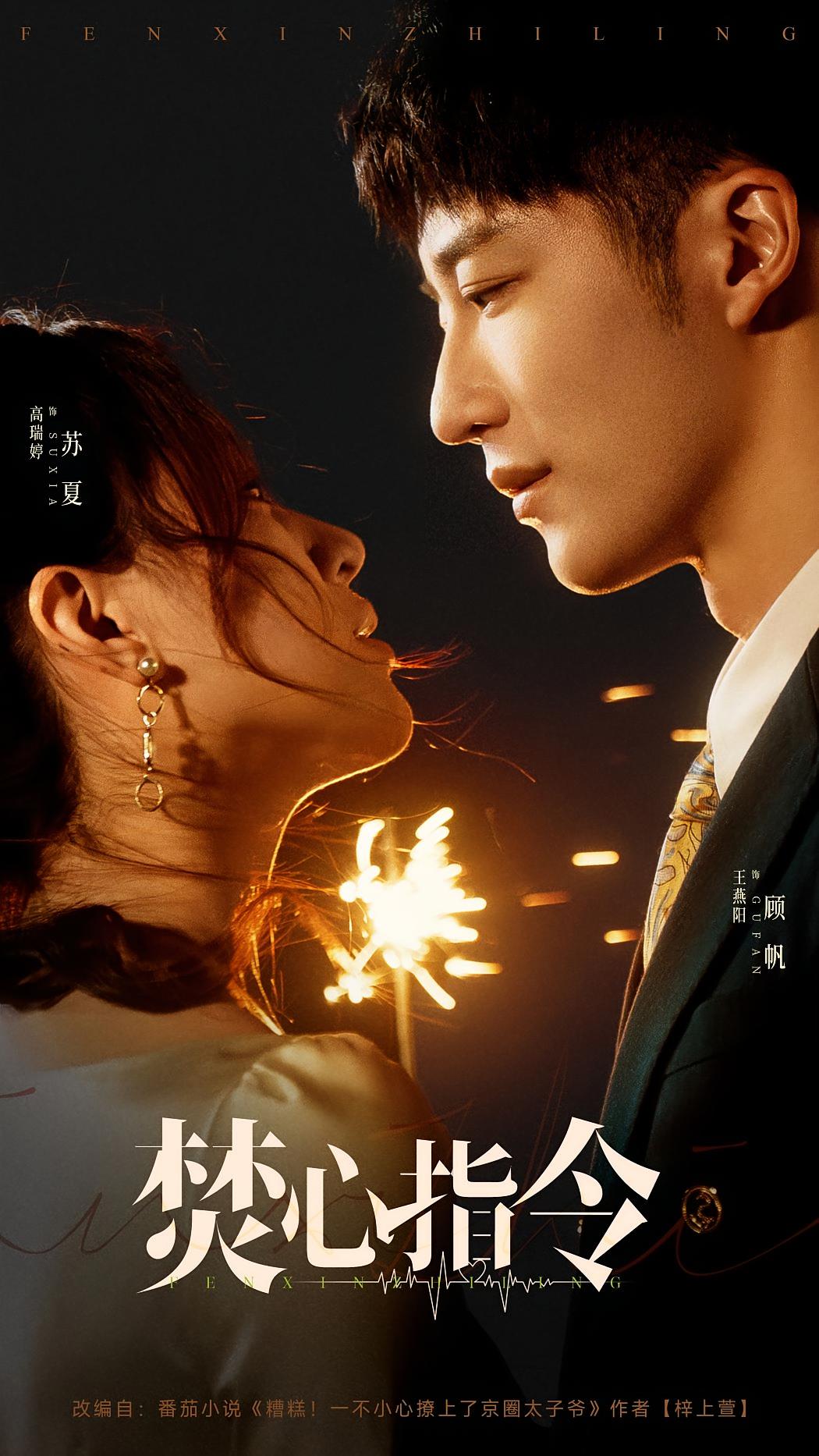 焚心指令 现代言情·总裁·全80集 王彦鑫&丁晓