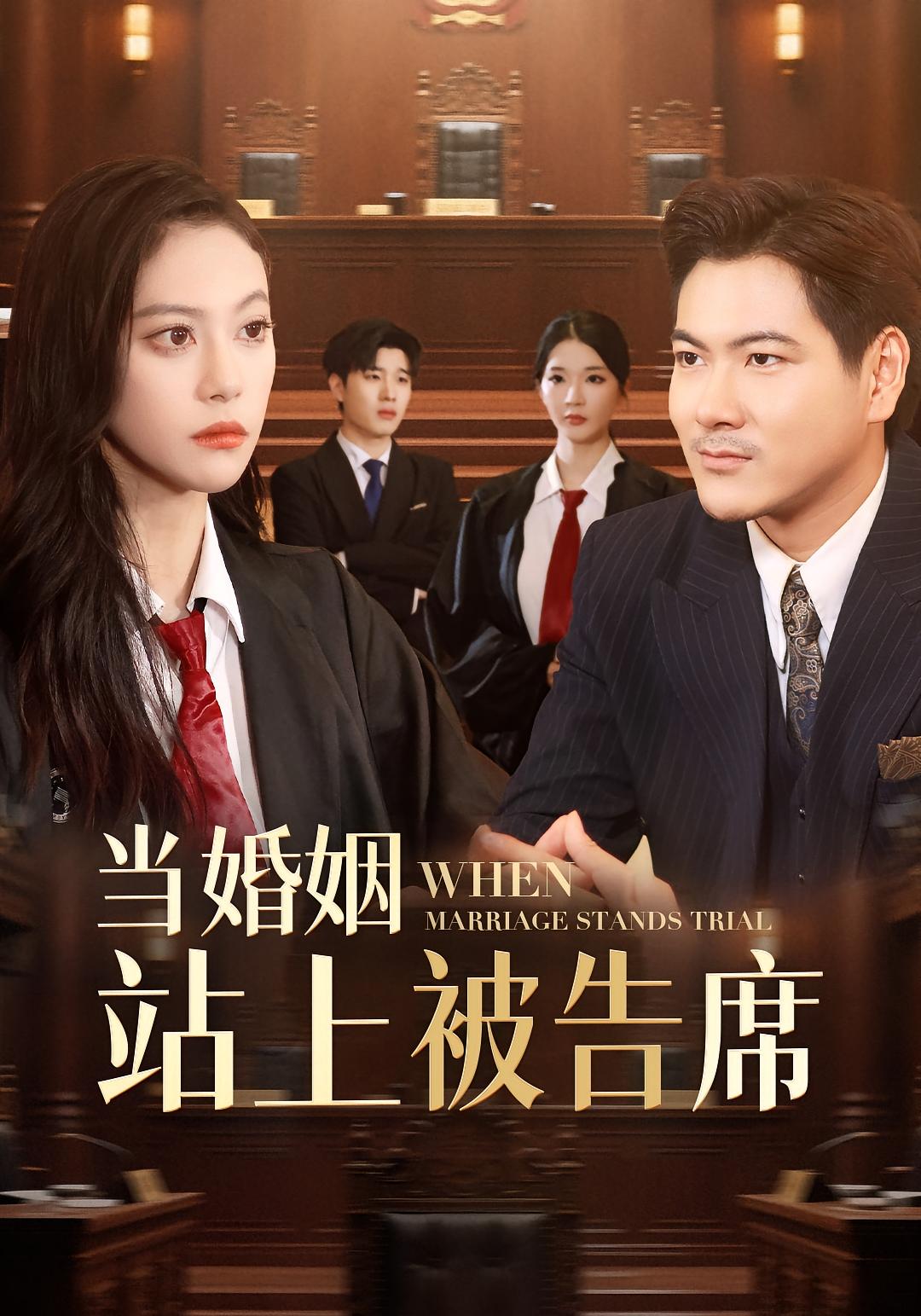 当婚姻站上被告席 都市日常·都市·全30集 刘林&黄彤彤&刘涵飞