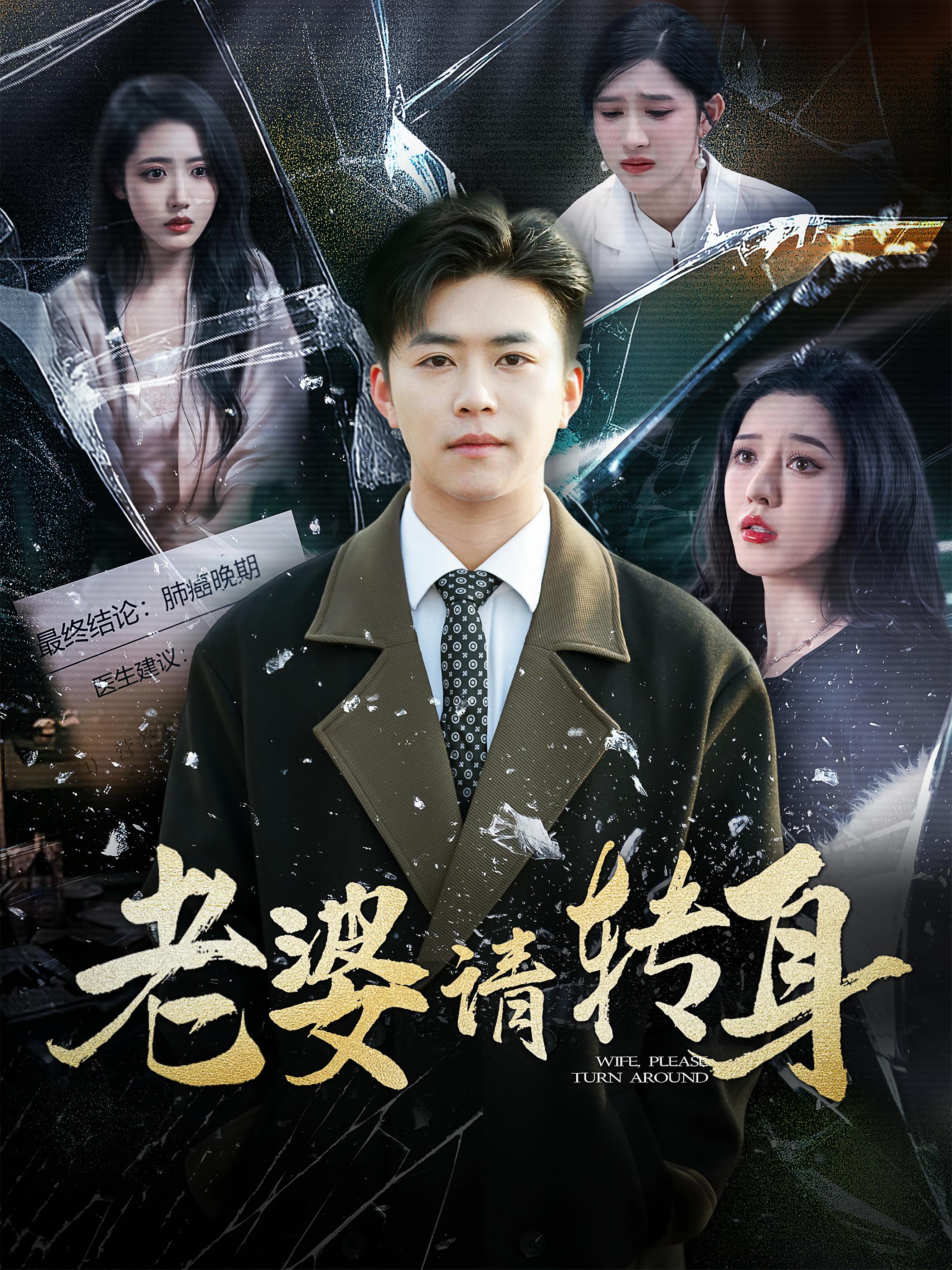 老婆请转身 都市日常·总裁·全82集 王依海&张如意&秦国华