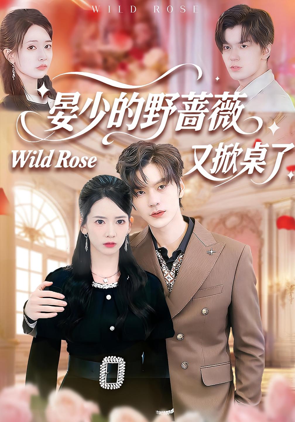 晏少的野蔷薇又掀桌了 都市情感·闪婚·全120集 刘姝妤&张嘉松&林琳