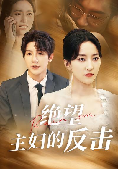 绝望主妇的反击封面图