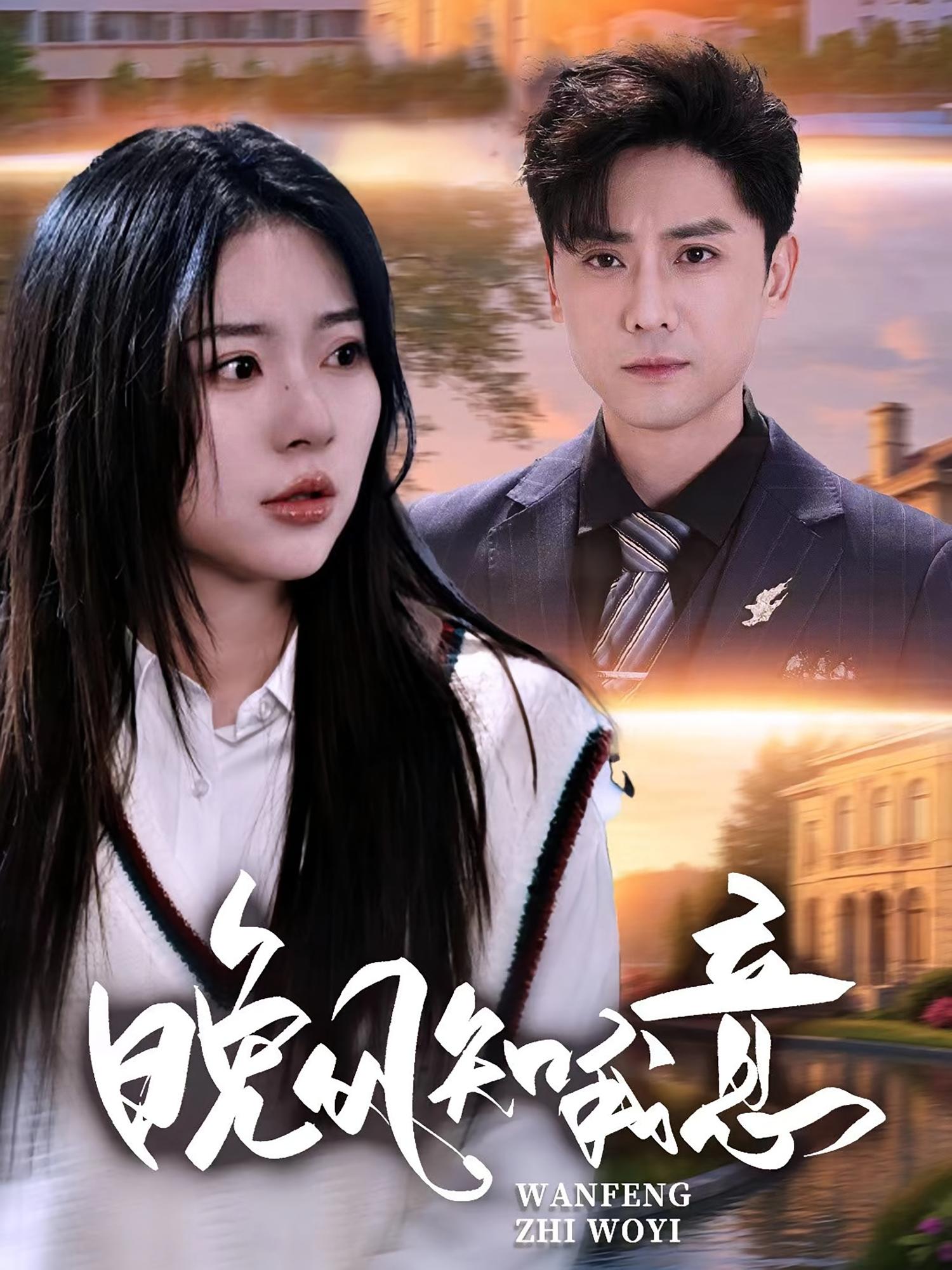 晚风知我意 都市情感·都市·全50集 金瑶&魏峰