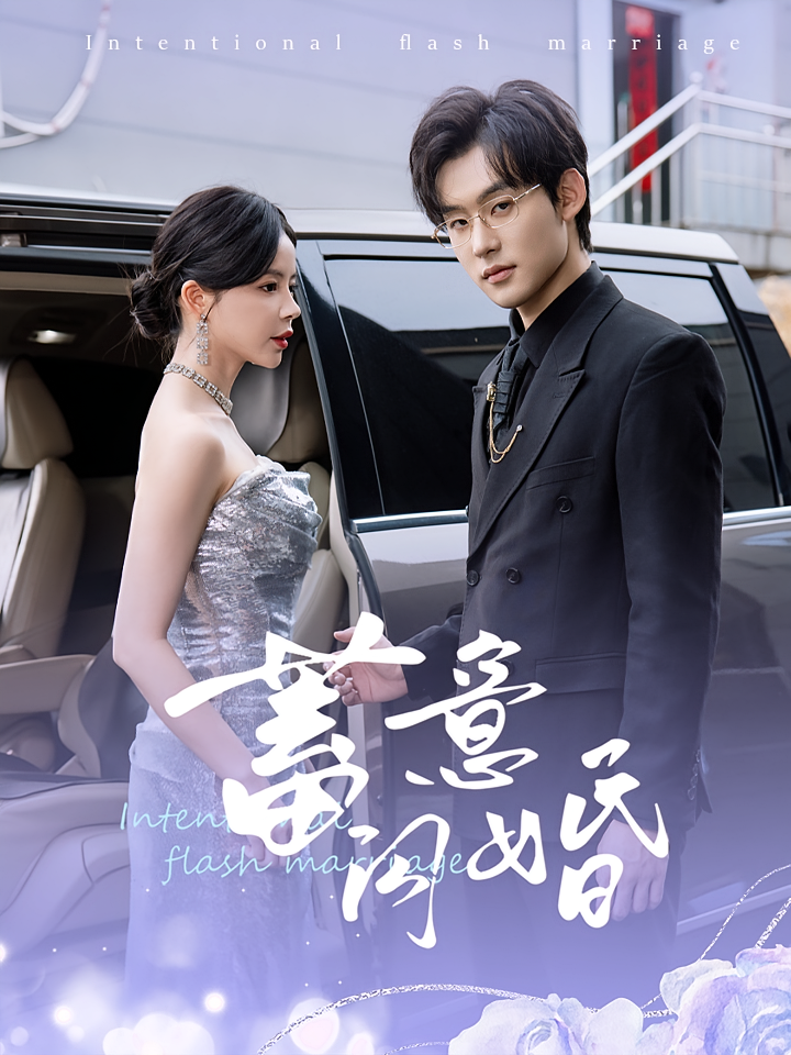 蓄意闪婚 都市情感·闪婚·全68集 赵慕颜&张力壬&张慧敏