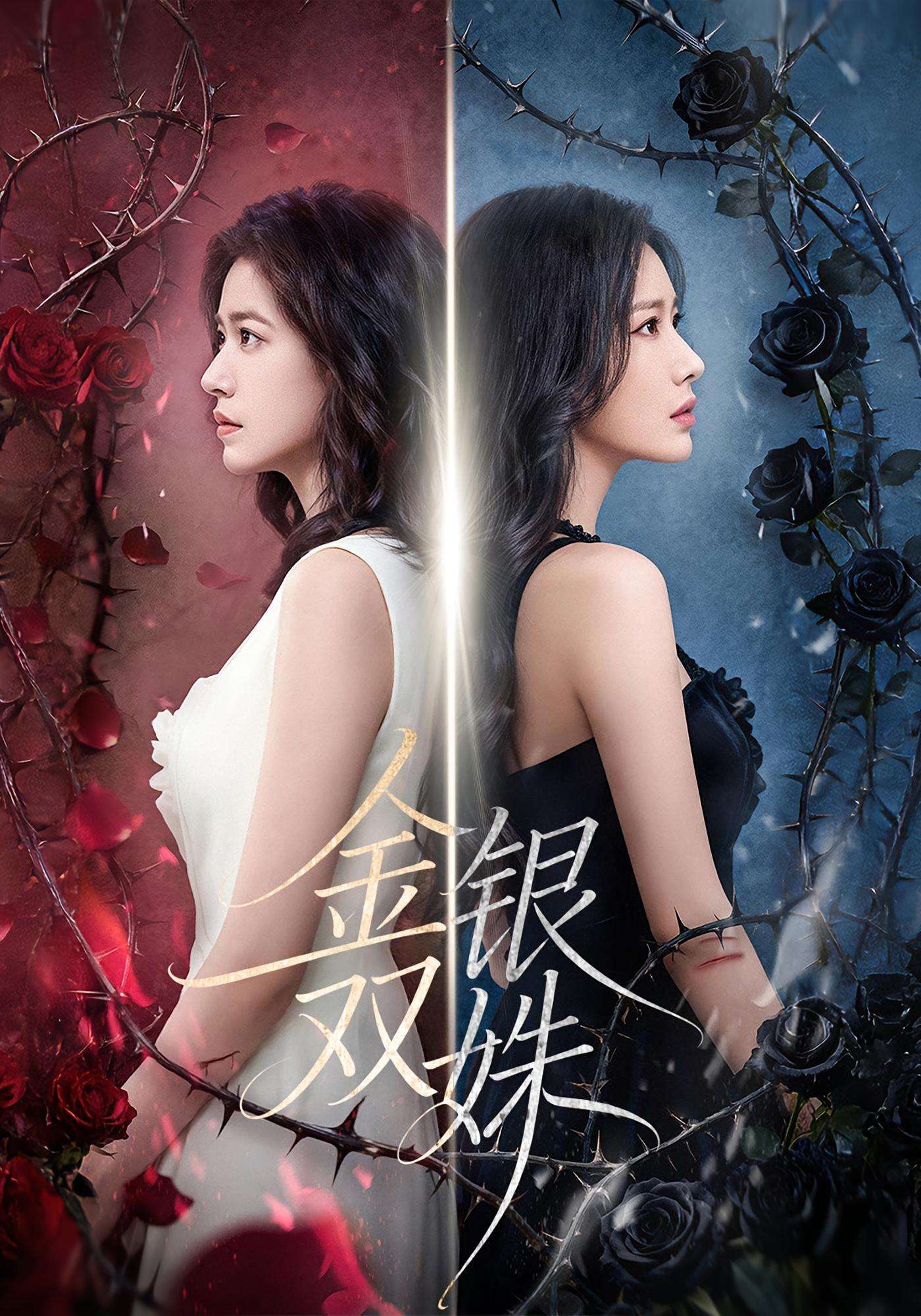 金银双姝 女性成长·都市·全80集 王艺霏&徐霄