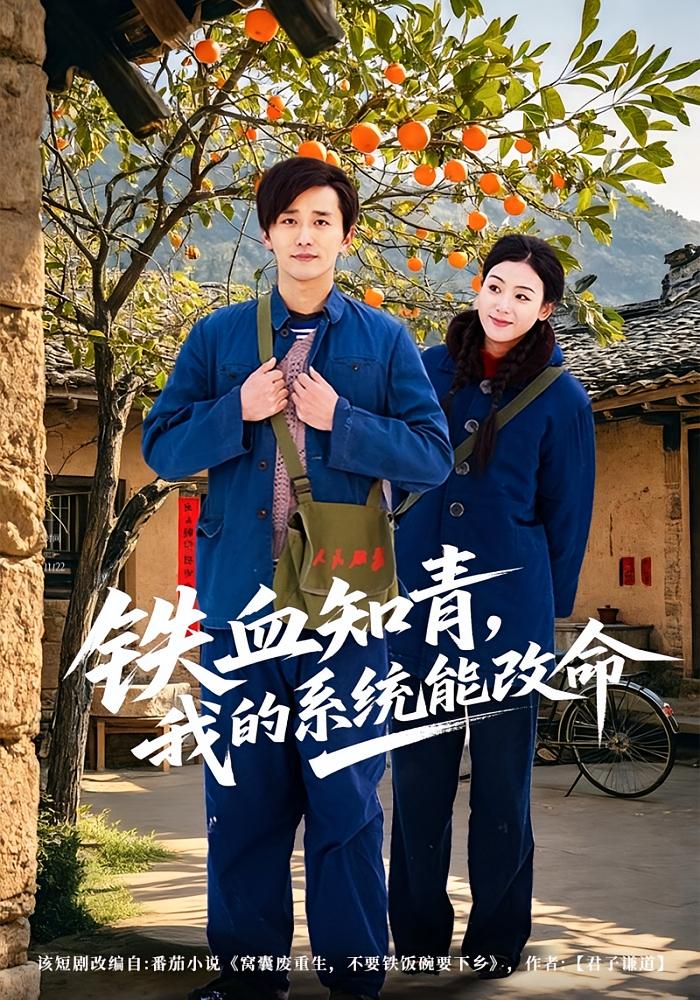 铁血知青我的系统能改命封面图