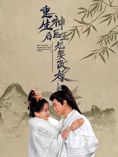 重生后神医王妃要改嫁封面图