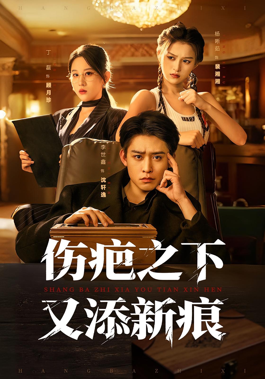 伤疤之下又添新痕 都市日常·都市·全60集 丁磊&李世鑫&杨晰茹