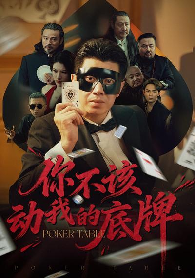 你不该动我的底牌封面图