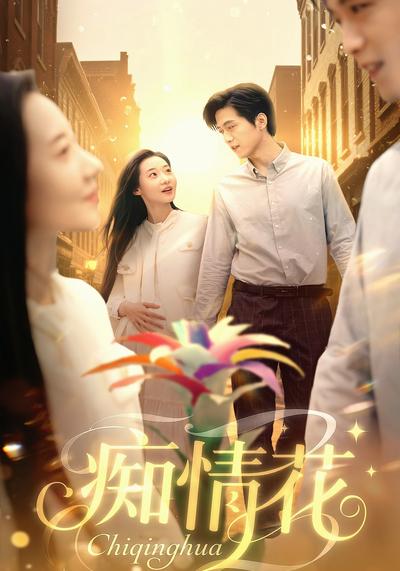 痴情花封面图