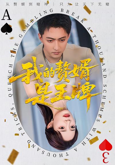 我的赘婿是王牌封面图