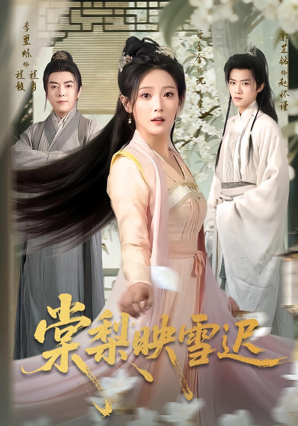 棠梨映雪迟 古风言情·女强·全61集 于金金&郭芷铭&王海军