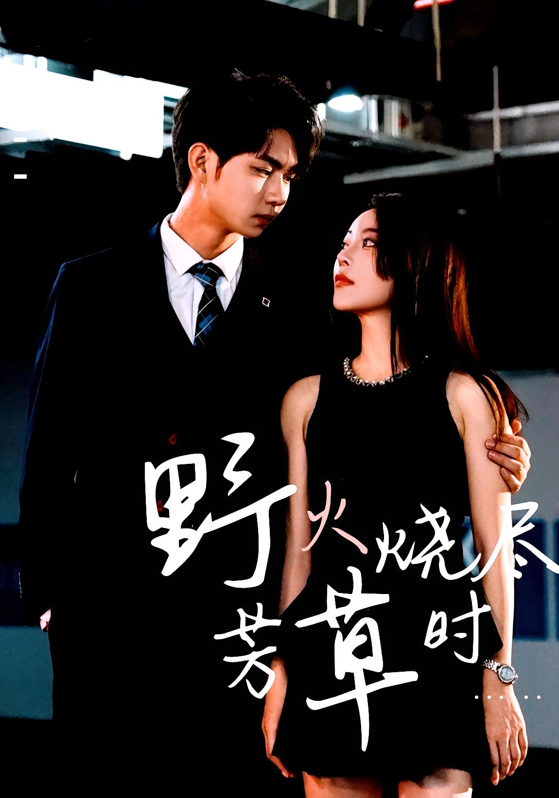 野火烧尽芳草时 都市情感·总裁·全65集 黄彦恺