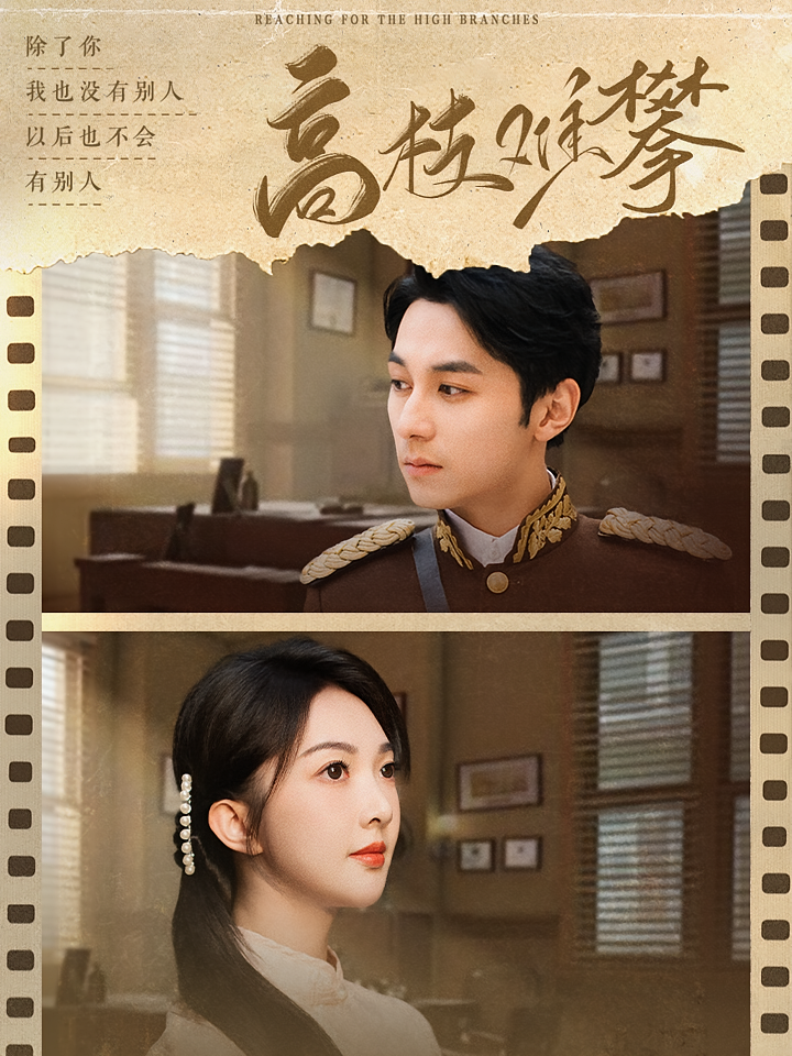 高枝难攀 民国爱情·少帅·全80集 赵廷义&王云云&唐晶晶