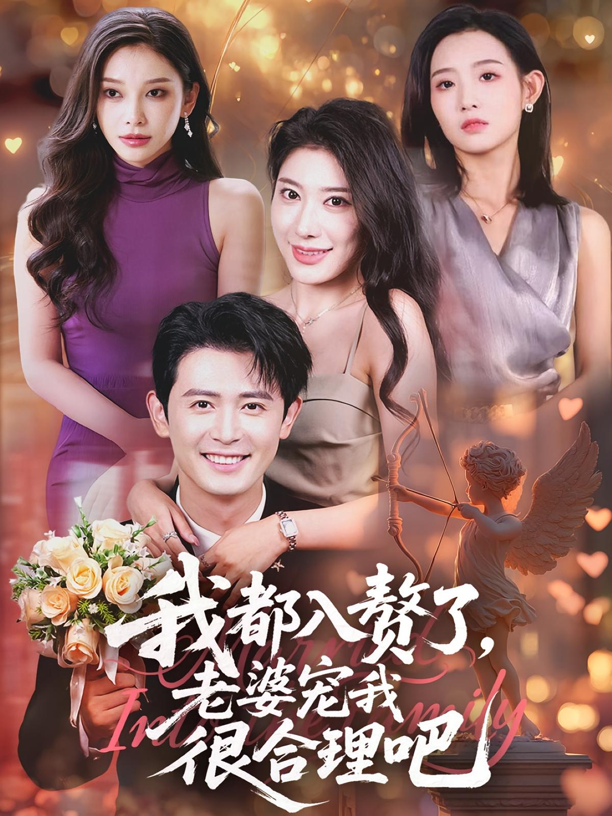 我都入赘了，老婆宠我很合理吧 赘婿逆袭·天才·全70集 王鹏&杨洁（三吉）