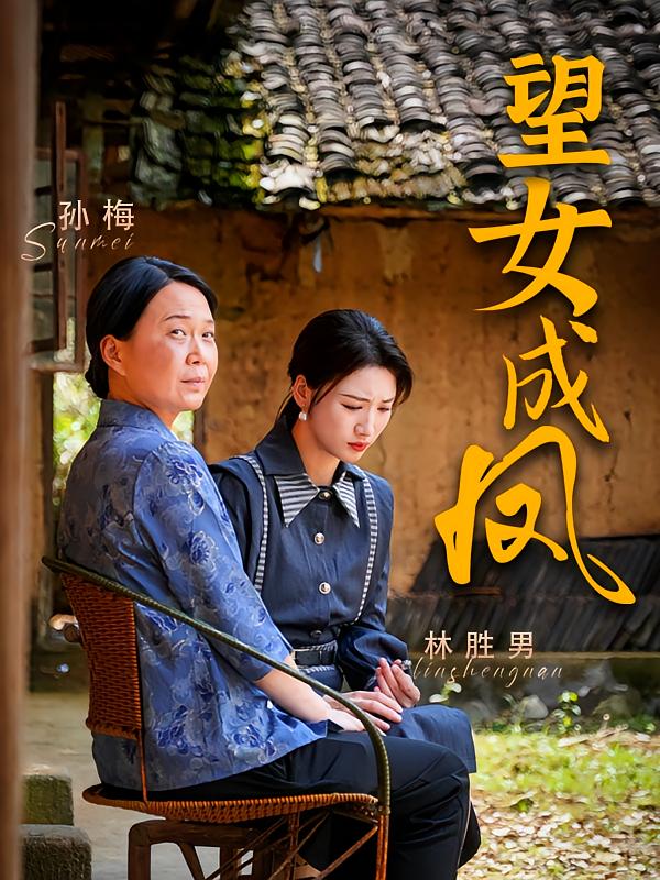 望女成凤 都市日常·女强·全74集 邹盛文&王沁然