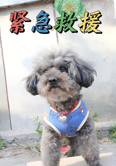 紧急救援封面图