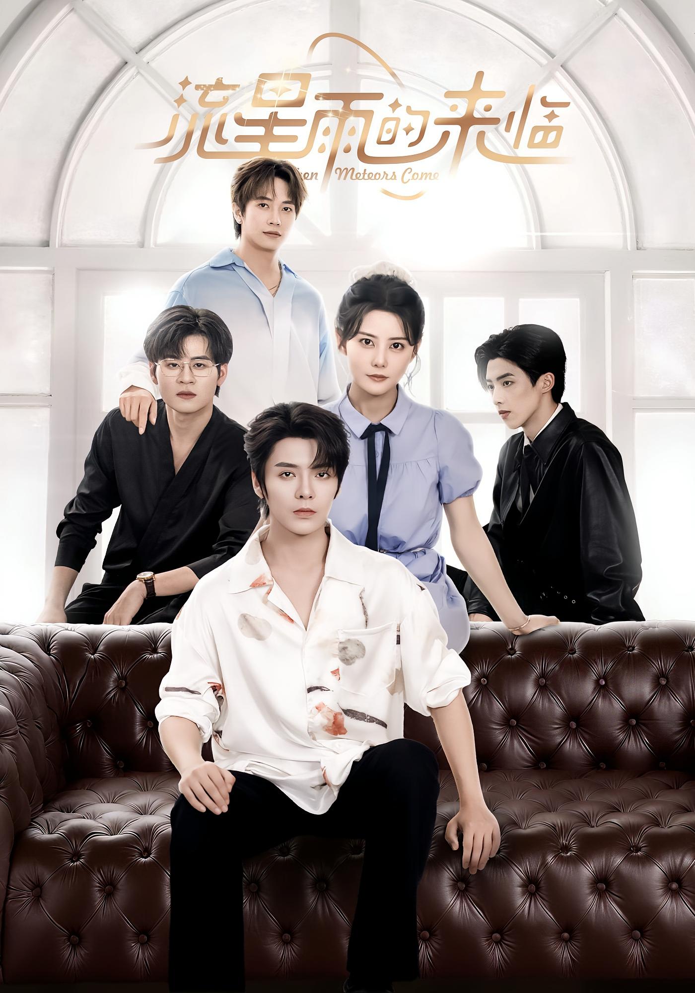 流星雨的来临 都市情感·总裁·全40集 段美洋&毛家和&黎子舒