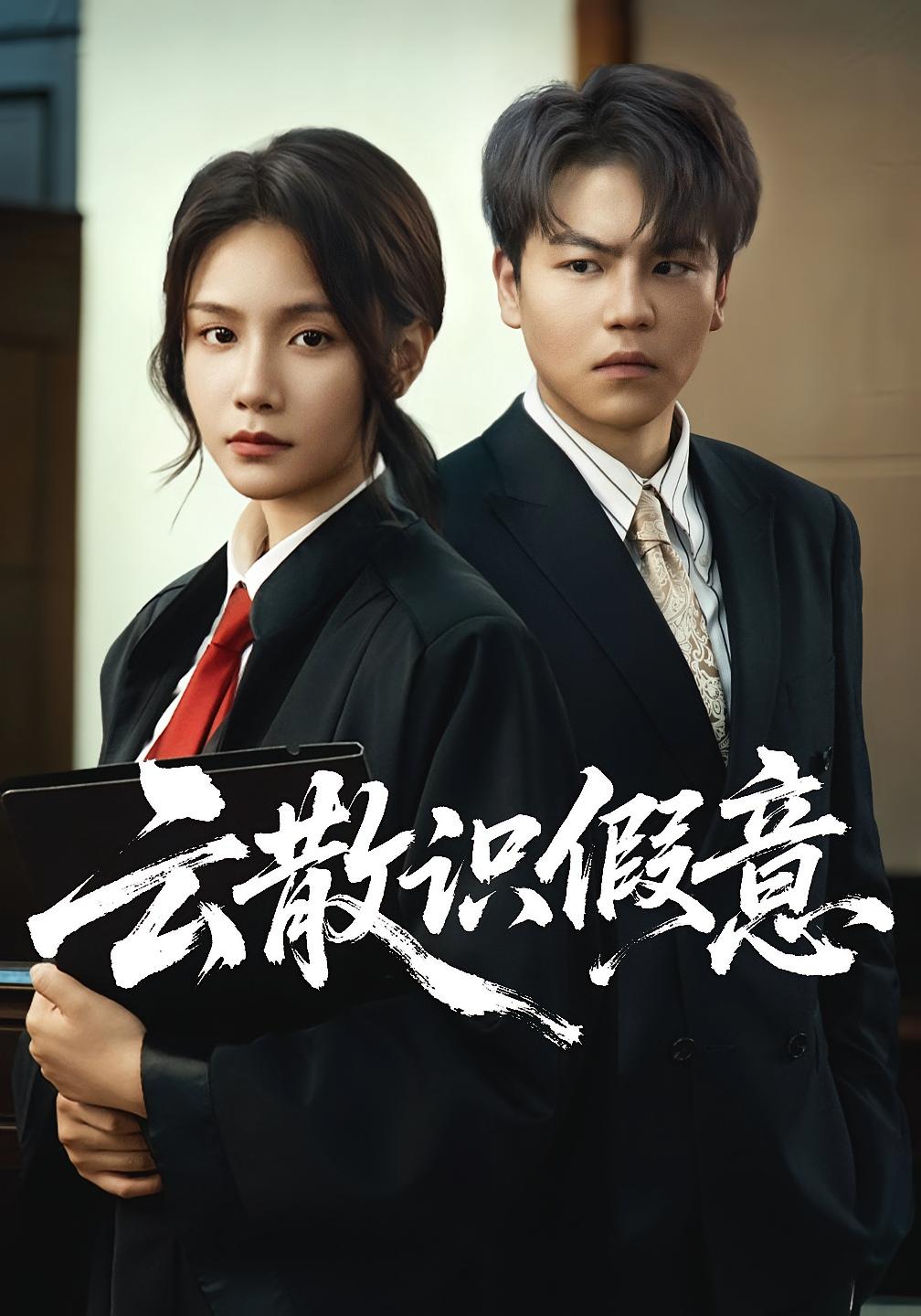 云散识假意 女性成长·都市·全50集 赵予靖&张立超&王姝懿