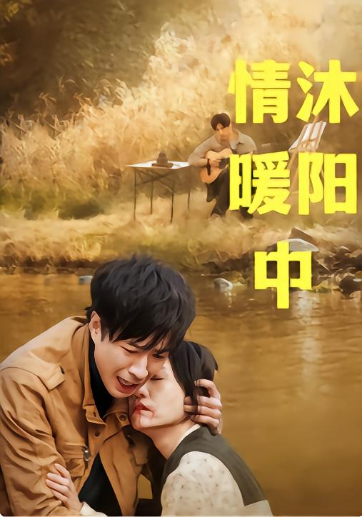 情沐暖阳中封面图
