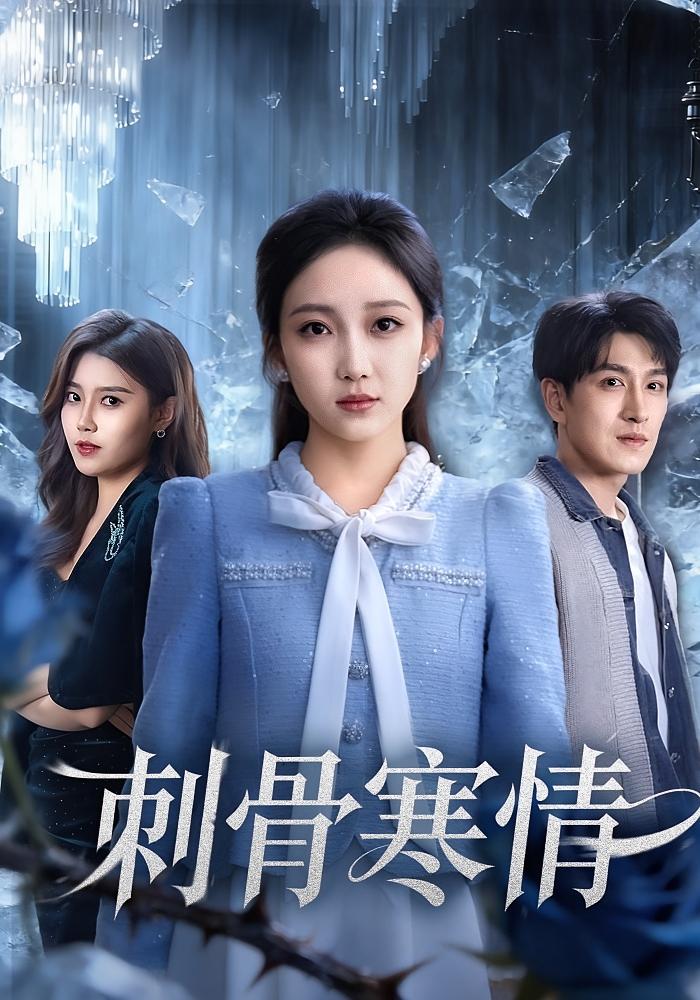 刺骨寒情 女性成长·现代·全58集 林可汉&马菲&吕怡萱