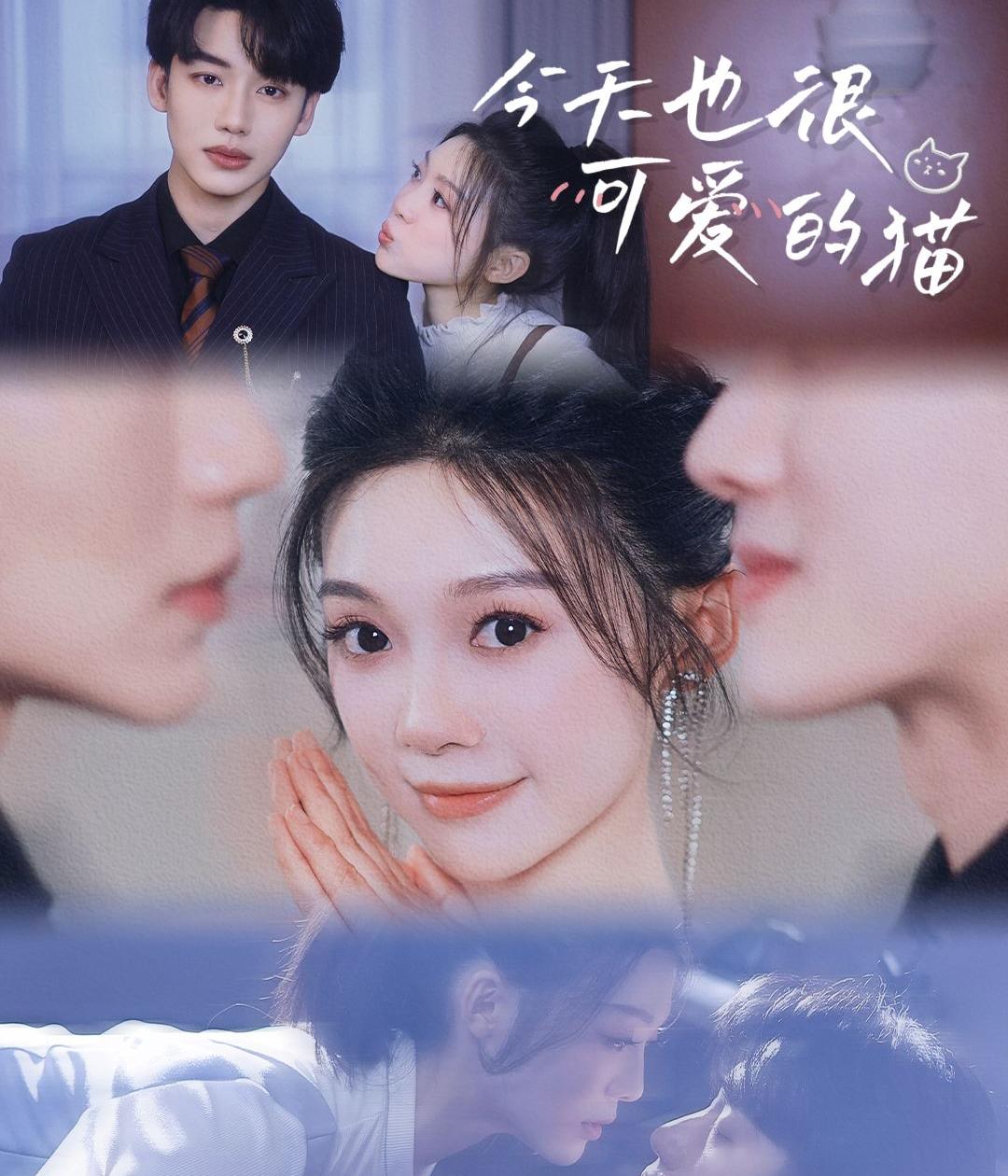 今天也很可爱的猫