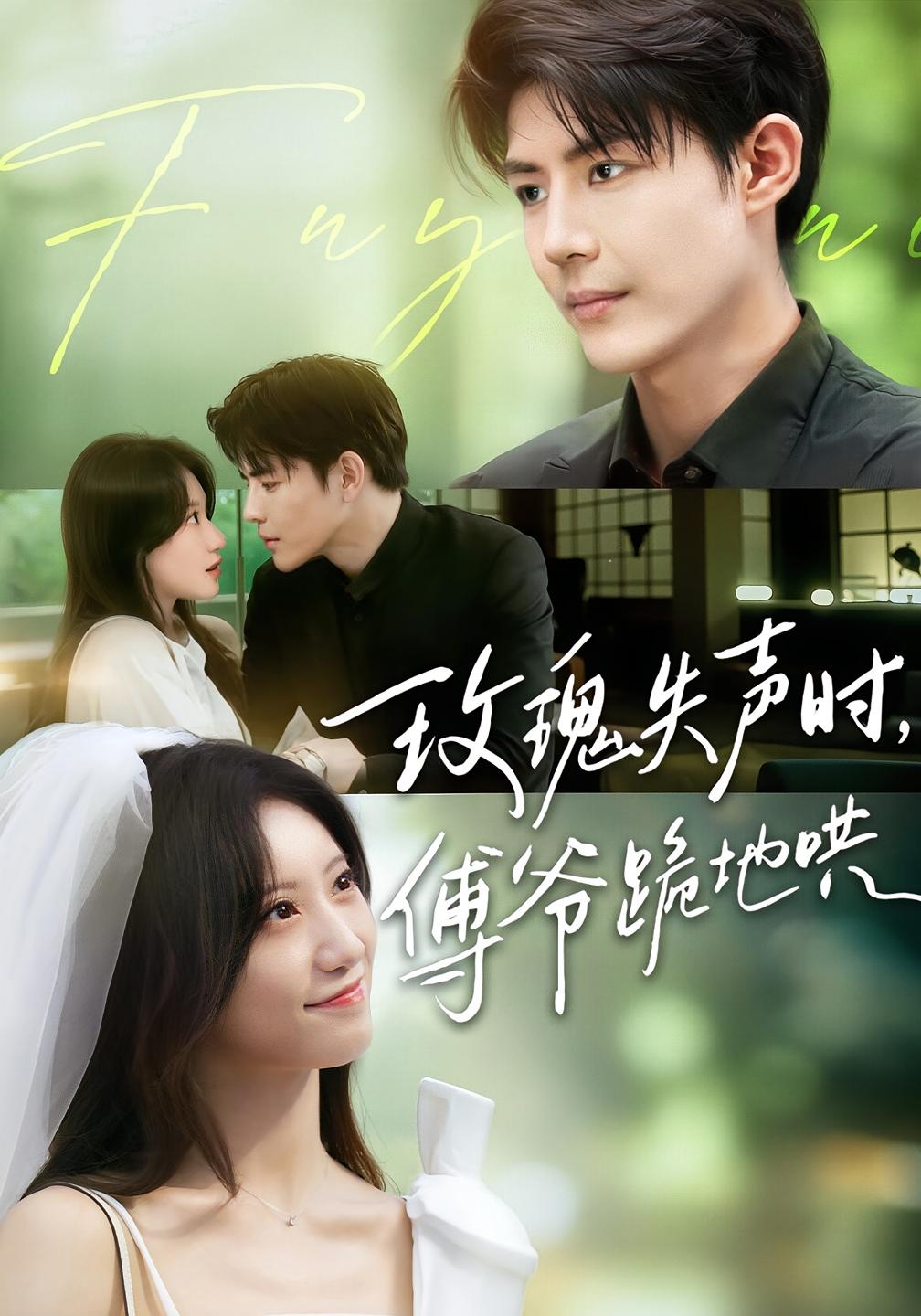 玫瑰失声时，傅爷跪地哄 都市情感·总裁·全70集 詹妮&于济玮&苏子淇